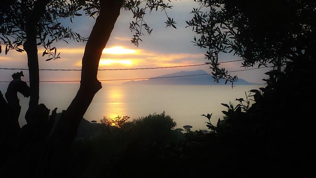 Villa Talea SantʼAgata sui Due Golfi Zewnętrze zdjęcie